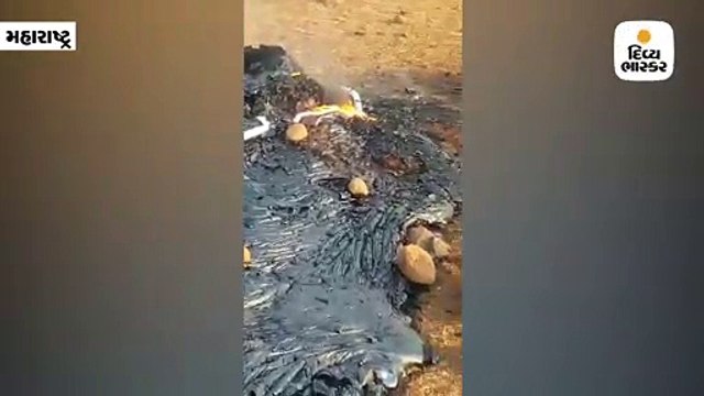 જ્વાળામુખી સક્રિય થયાના દાવા સાથે શેર કર્યો વીડિયો, તપાસ કરવા ગયા કલેક્ટર