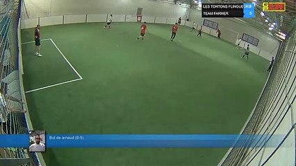But de arnaud (6-5) - LES TONTONS FLINGUEURS  Vs TEAM FARMER  - 15/04/19 20:00 - LIGUE 2