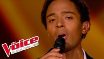 Lucio Dalla - Caruso | Stéphan Rizon | The Voice France 2012 | Finale