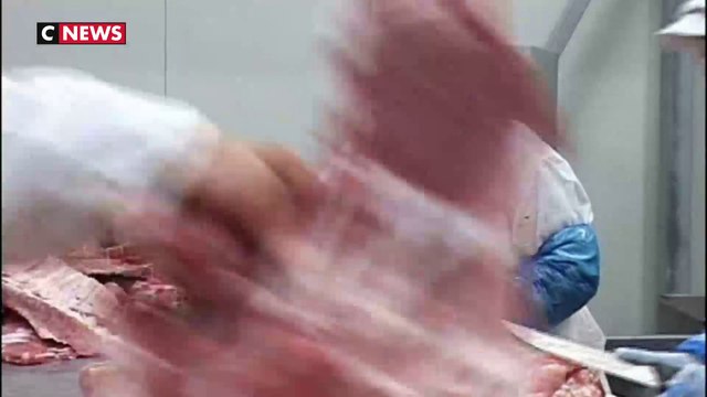 Scandale des « lasagnes au cheval » : jugement ce mardi dans l'affaire Spanghero