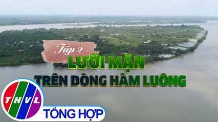 THVL | Ký sự truyền hình: Trên vùng ranh mặn - Tập 2: Lưỡi mặn trên dòng Hàm Luông