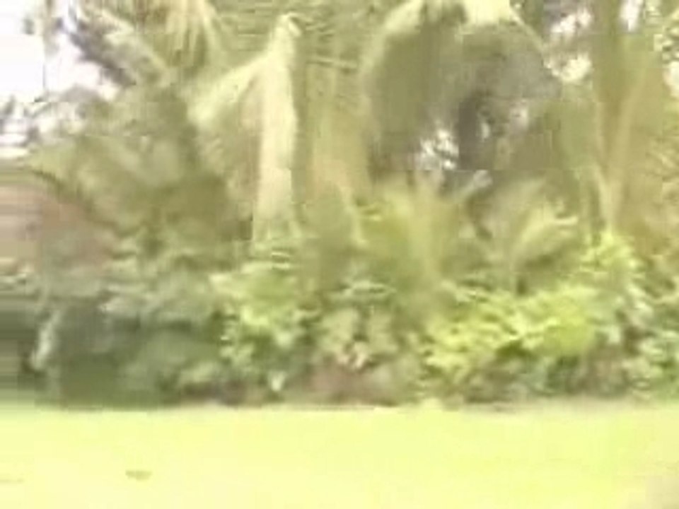 Hawaii Luxury Real Estate - Puna Oceanfront