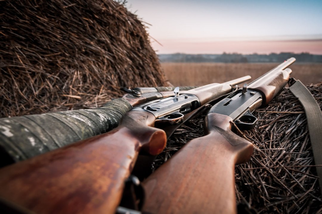 Les meilleures armes de chasse