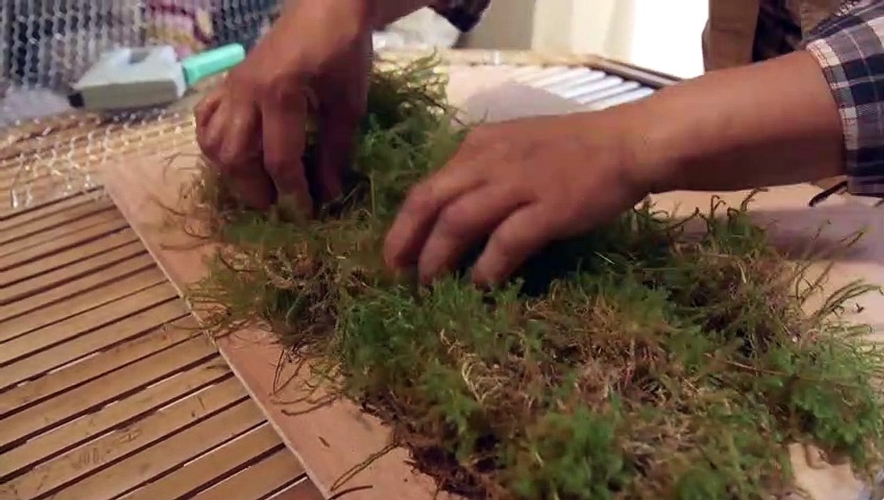 DIY :  Comment créer votre tableau végétal ?
