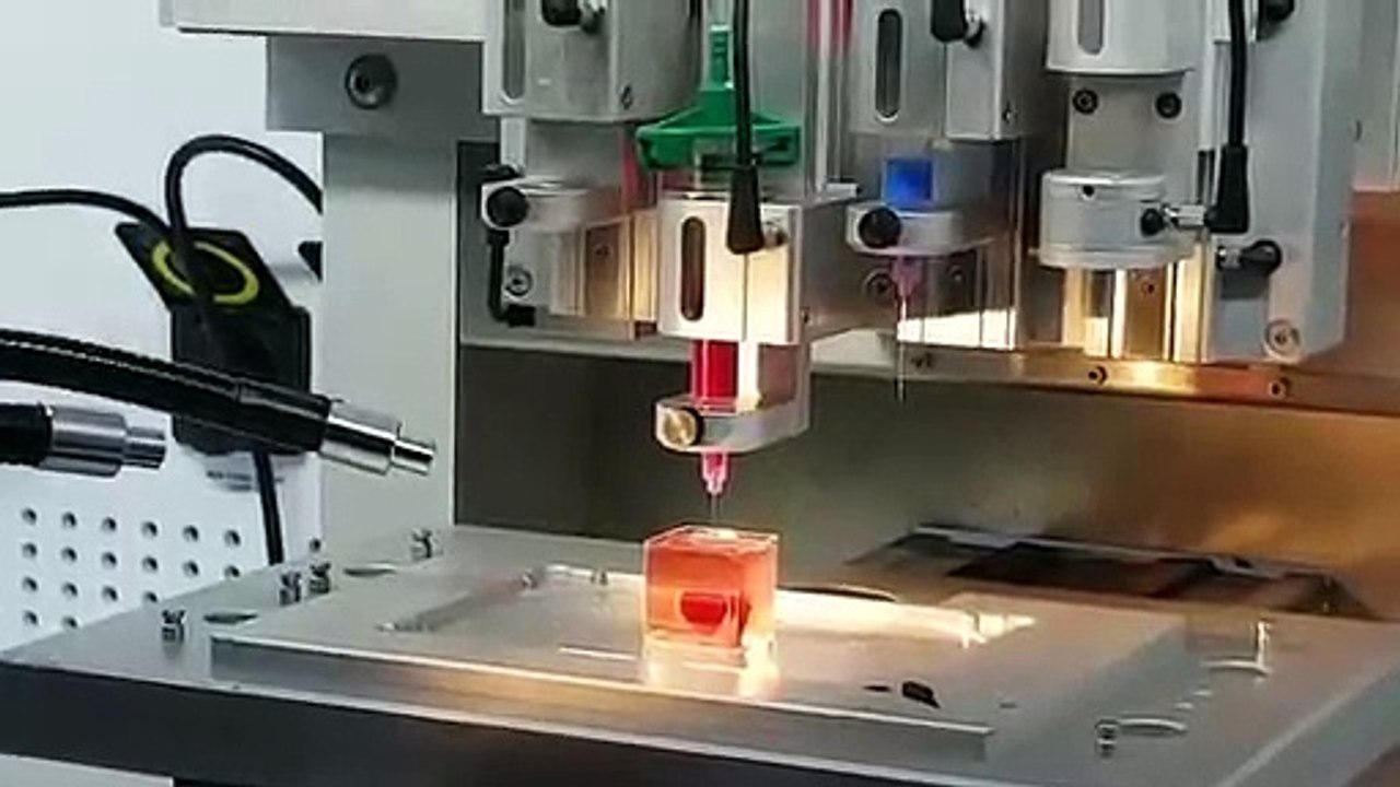 Un coeur fonctionnel réalisé en 3D avec du tissu humain