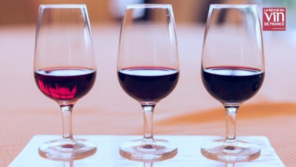 Beaujolais nouveau : comment élabore t-on du vin en quelques semaines ?