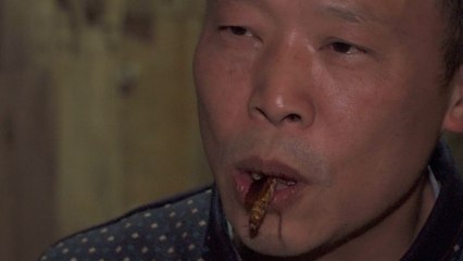 Cockroaches a cash cow for Chinese farmer who breeds them for food and medicine