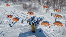 Fjällräven Polar event sees over 200 sled dogs travel 300km through Scandinavia