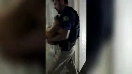 SC: Policiais rodoviários federais resgatam cachorro atropelado
