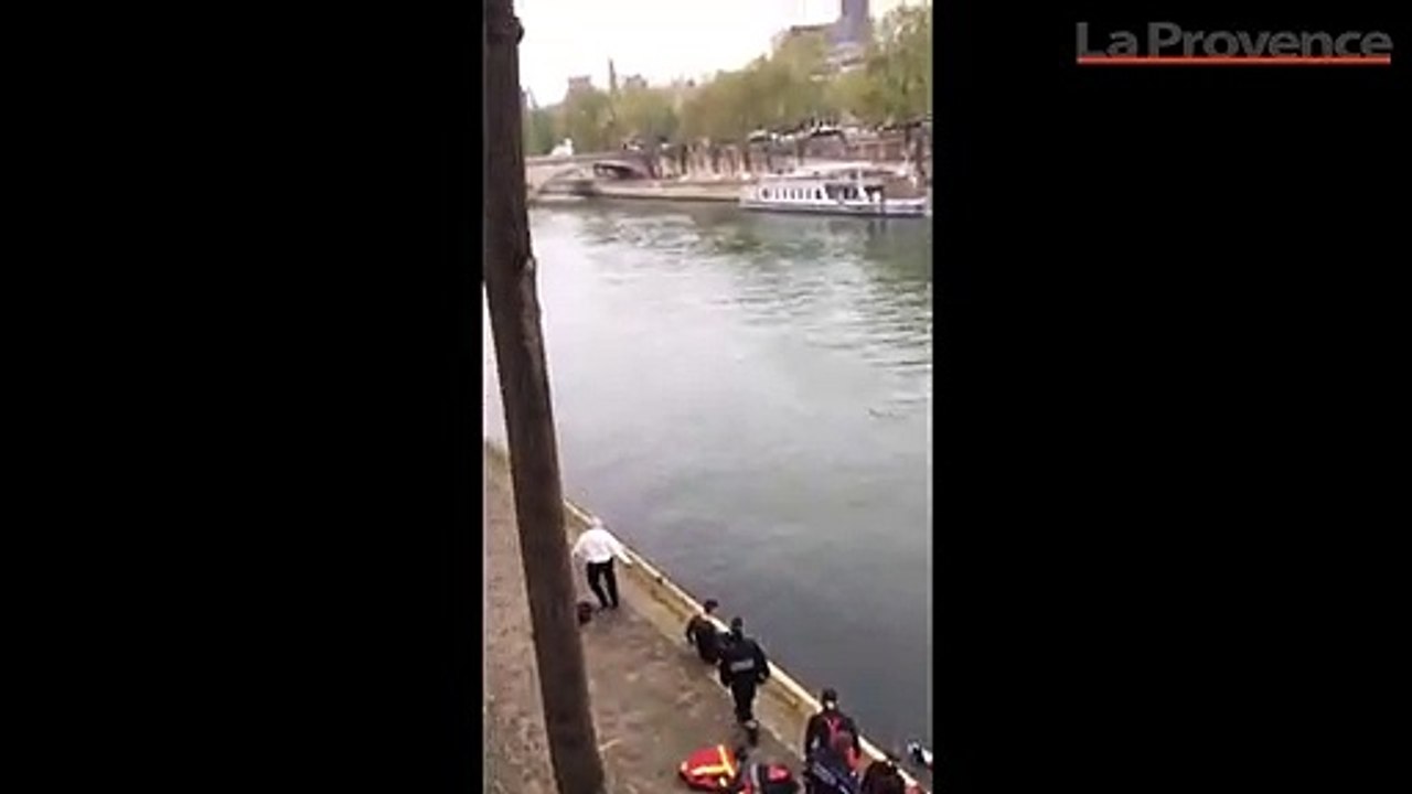 Insolite : un chien sauvé des eaux par les pompiers au pied de Notre-Dame de Paris