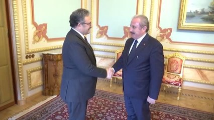TBMM Başkanı Şentop, Pakistan'ın Ankara Büyükelçisi Gazi'yi Kabul Etti
