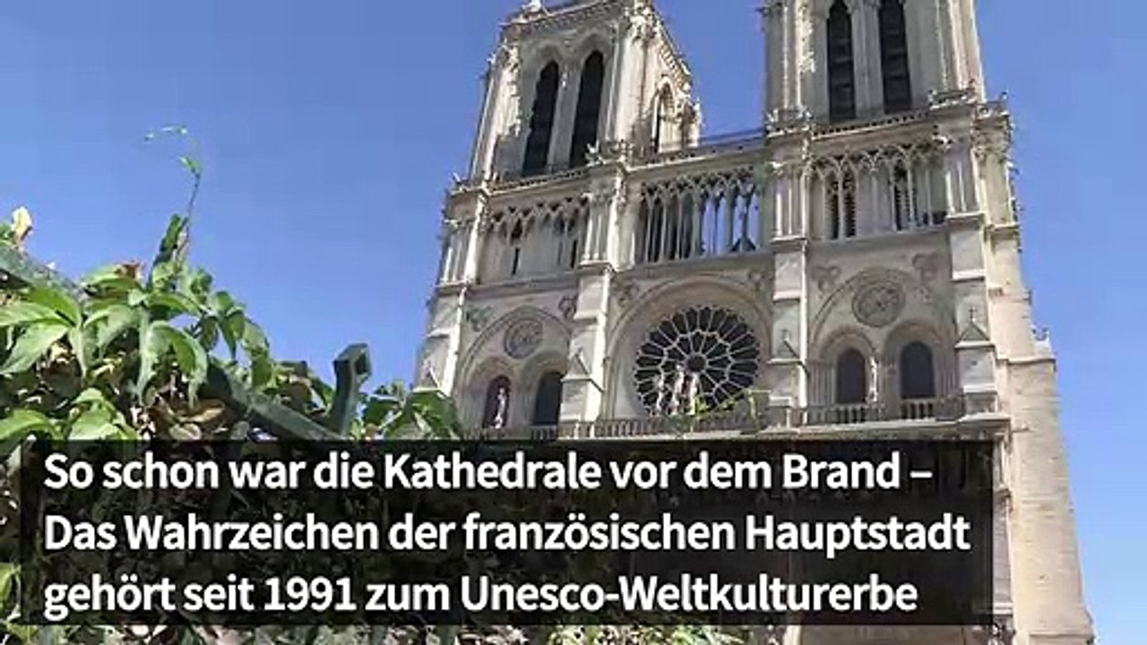 Notre-Dame: So schön war das Wahrzeichen vor dem Brand