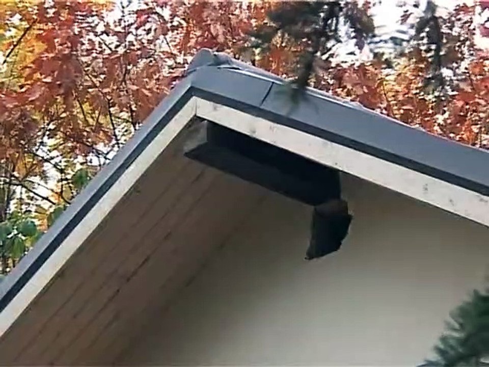 115 Про деревянные рамы, окна и вентиляцию