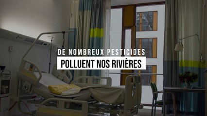 Alerte : le nombre de cas de rougeole a quadruplé au premier trimestre 2019