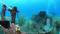 Wreck Diving in Nassau with Stuart Cove’s Dive Bahamas