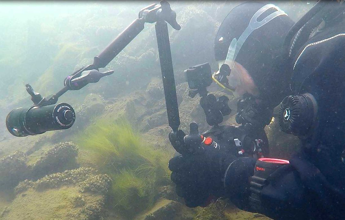 Scientifiques belges et français au chevet de l'Orient