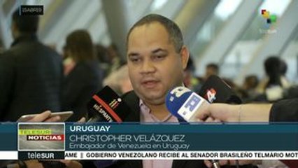 teleSUR Noticias: Incendio consumió la Catedral de Notre Dame