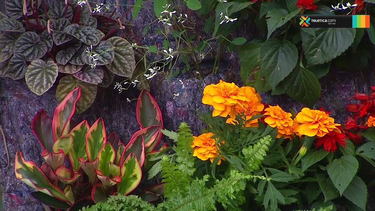 bd-jardines-verticales-160419