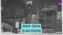 Notre-Dame, la survivante