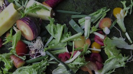 The One Thing You Should Always Have in Your Freezer