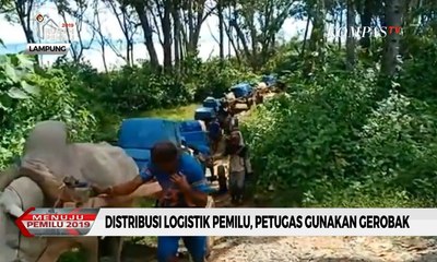 Berbagai Kendala Distribusi Logistik Pemilu, dari Cuaca Hingga Mogoknya Sapi