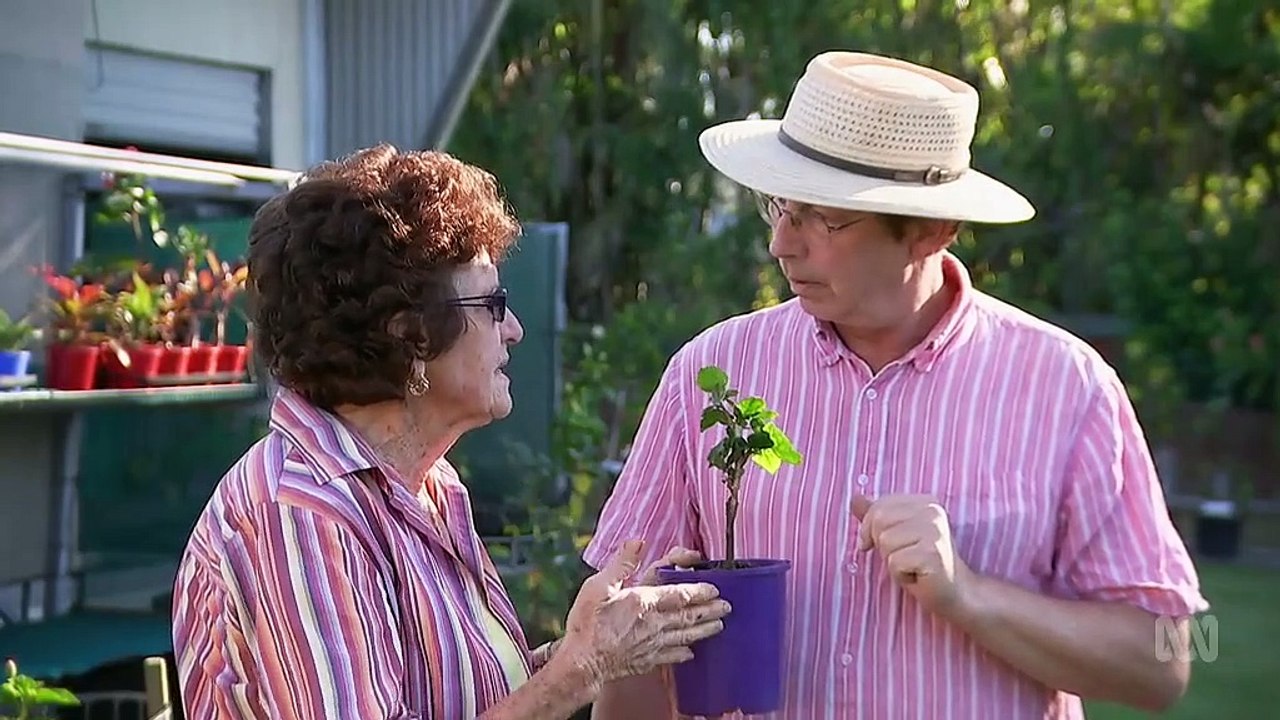 Gardening Australia episode 11 2019 video Dailymotion