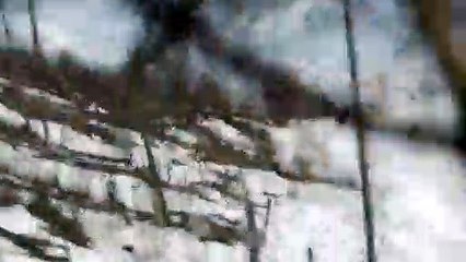 Tourists Capture Avalanche on Mountain Range