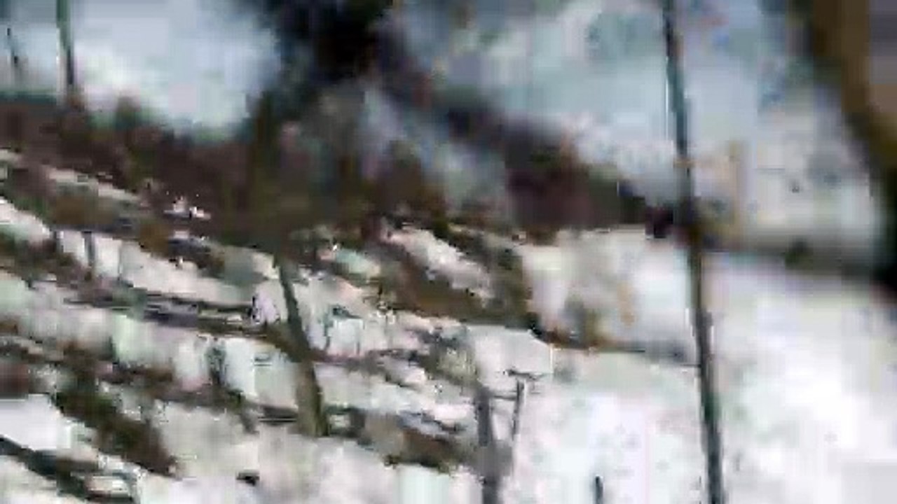 Tourists Capture Avalanche on Mountain Range
