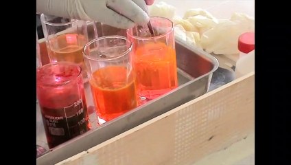 Simplified Papanicolaou Staining Method for Cervical Cancer Screening 🩺
