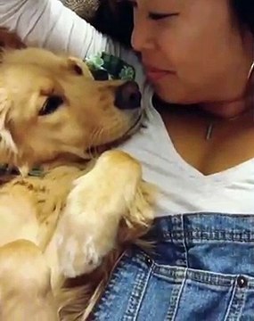 Cette chienne observe sa maîtresse avec beaucoup de tendresse. Émouvant !