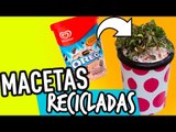 Cómo hacer Macetas Recicladas con Botes de Helado - Reciclaje - Manualidades Catwalk