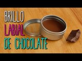 Cómo hacer Bálsamo Labial ¡Sabor Chocolate! Casero | Eos Casero DIY- Catwalk