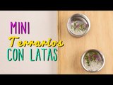 Cómo Hacer Mini Terrarios - Con latas ♥ - Ideas para Decorar - Catwalk