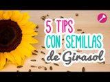 ¡5 Tips de Belleza! Beneficios de las Semillas de Girasol | Descubre para qué sirven| Catwalk