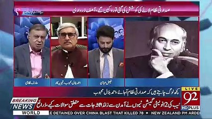 The Current Government Doesn't Have The Majority In The Parliament-Arif Nizami