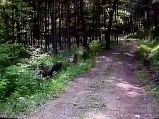 로얄바카라 https://www.css900.com《˚카지노사이트˚》