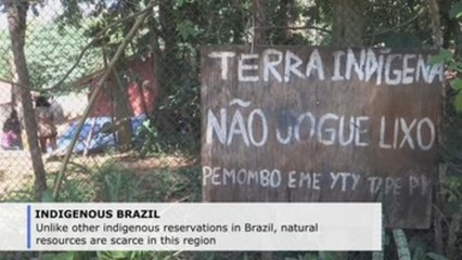 Indigenous reserve in Brazil survives near largest city in South America