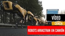Los robots de Boston Dynamics ahora arrastran camiones