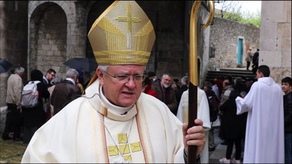 Viviers: "L'incendie de Notre-Dame : c'est un souffrance pour nous tous ! "