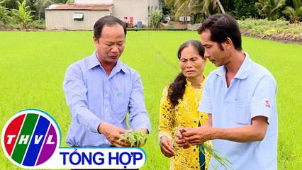 THVL | Nông nghiệp bền vững: Những lợi ích từ dự án VnSat