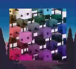 Baby Einstein 13 - Baby Newton - Word of Shapes (12mos)