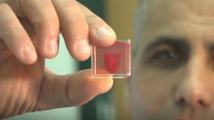 Israeli scientists print 3D heart with human tissue and vessels