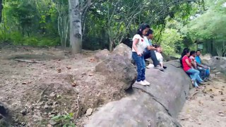 bosque petrificado de puyango ecuador