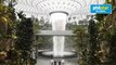 Singapore airport nature dome unveiled in fight for flights