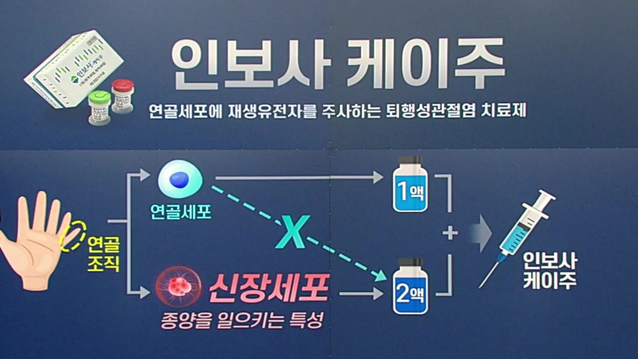 [뉴스TMI] 알고 보니 다른 성분? 인보사 사태...진짜 성분과 쟁점 / YTN