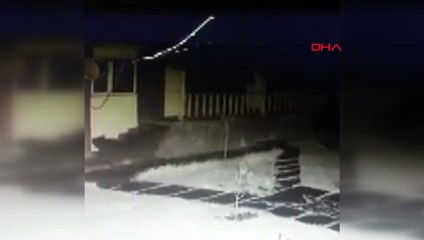 Görüntüyü inceleyince şaşkına döndüler