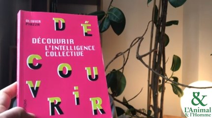 Interview 3 d'Olivier Piazza : Le peuple est-il l’ennemi de lui-même?