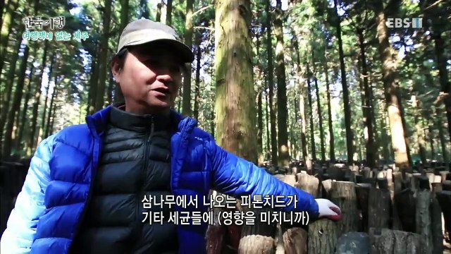 한국기행 - Korea travel_여행책에 없는 제주 5부- 봄이 오면 나는 좋아_#002