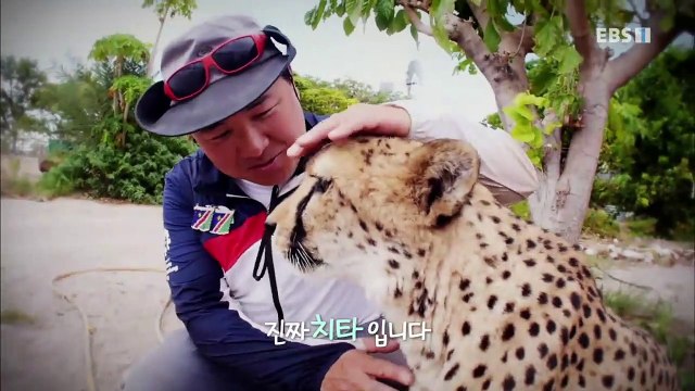 세계테마기행 - 남아프리카 야생 대탐험 3부- 천의 얼굴 나미비아_#001