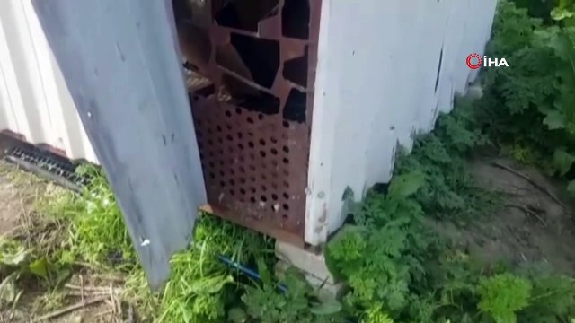 Tanesi 20 bin lira olan 15 taklacı güvercini çaldılar